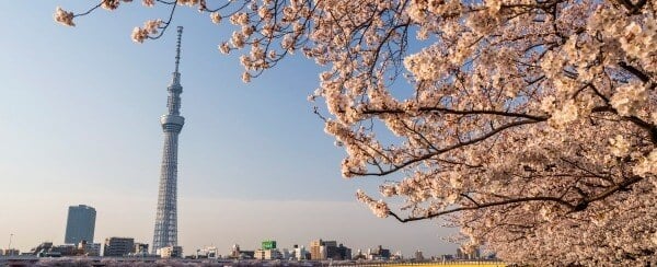 ERPの価値と導入検討のベストプラクティス（東京）